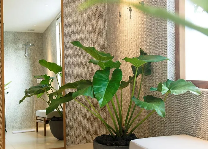 Noku House